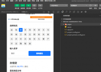姓名重名查询小工具流量主微信小程序H5开源用户手册