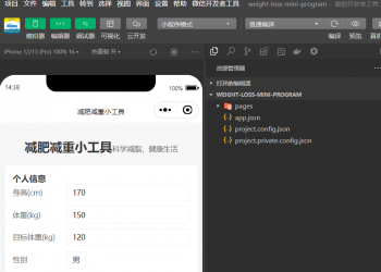 健康减肥减重计算助手小工具流量主微信小程序开源手册
