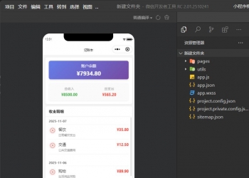 记账本VIP会员抖音快手微信小程序看广告流量主开源手册