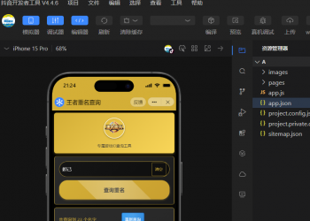王者重名生成查询生成抖音快手微信小程序看广告手册