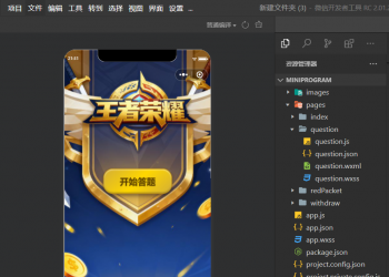 王者荣耀答题赚钱抖音快手微信小程序看广告流量主手册