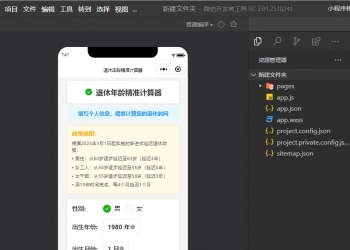 退休年龄计算器抖音快手微信小程序看广告流量主开源手册