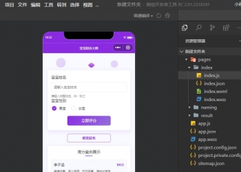 名字姓名起名打分评分抖音快手微信小程序看广告手册
