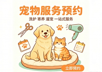 宠物服务预约 H5 源码 美容洗护寄养训练医疗体检一站式预约